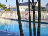 Harrison Hall outdoor Olympic size pool.