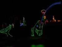Winterfest of lights in Ocean City Md
