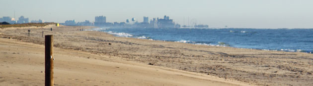 Ocean City greets the horizon of the beach at Assateague Island