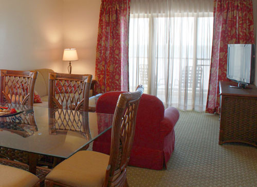Nicely furnished living room and flat screen tv in unit 1003.