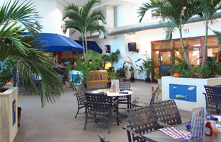Coral Reef Cafe